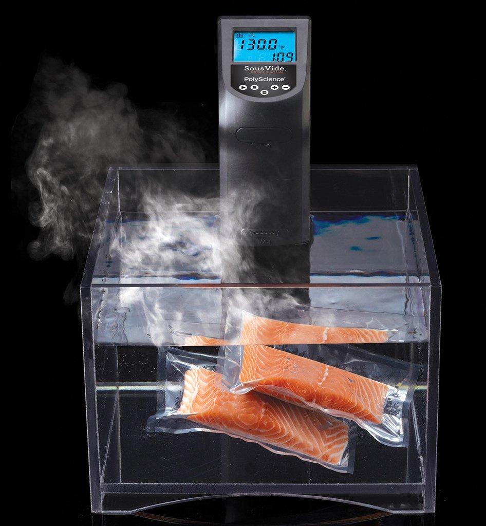 ShineYe Sous Vide P290 Automatic Wet&Dry Food Home and Commercial